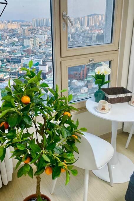 Min Apartment